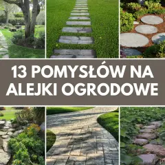 Inspirujące pomysły na alejki w ogrodzie: kamienne ścieżki, drewniane stopnie, okrągłe płyty i kamienie w wodzie.