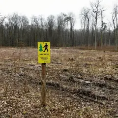 Żółty znak zakazu wstępu na drewnianym słupku na tle wylesionej polany i lasu.
