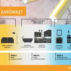 Poradnik wyboru żarówki: barwy ciepłe i zimne dla różnych pomieszczeń. Od sypialni po biurko, dobierz idealne światło.