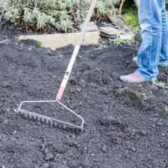 Osoba w dżinsach grabi ciemną, pulchną ziemię, przygotowując idealną pod trawnik.