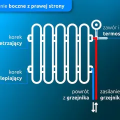 Schemat podłączenia grzejnika od dołu z prawej strony. Widać zawór termostatyczny, odpowietrznik i korek zaślepiający.