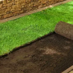 Układanie trawy z rolki. Sprawdź atrakcyjną trawa z rolki cena za m2, by stworzyć piękny trawnik.