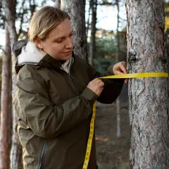 Kobieta w zielonej kurtce mierzy obwód drzewa żółtą taśmą mierniczą w lesie.