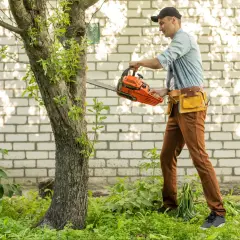 Mężczyzna w czapce i pasie narzędziowym trzyma piłę łańcuchową przy drzewie.