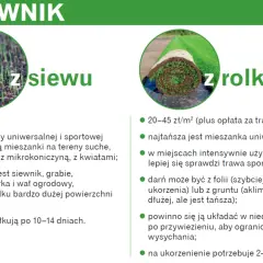 Zakładanie trawnika cena za m²: z siewu 8-20 zł, z rolki 20-45 zł. Porównanie metod i kosztów.