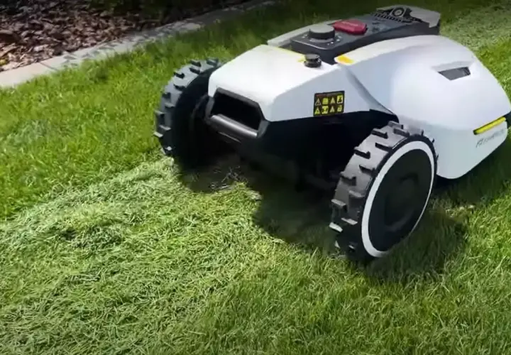 Robot koszący wykonuje mulczowanie trawy, pozostawiając drobno skoszoną trawę jako naturalny nawóz.