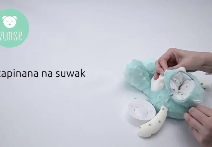 Szumiś zamilkł? Napraw, wymień, kup nowy mechanizm poradnik