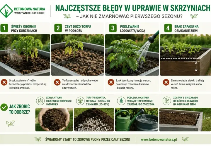Poradnik o uprawie warzyw w skrzyniach: unikanie błędów z nawożeniem, podlewaniem i osiadaniem ziemi.