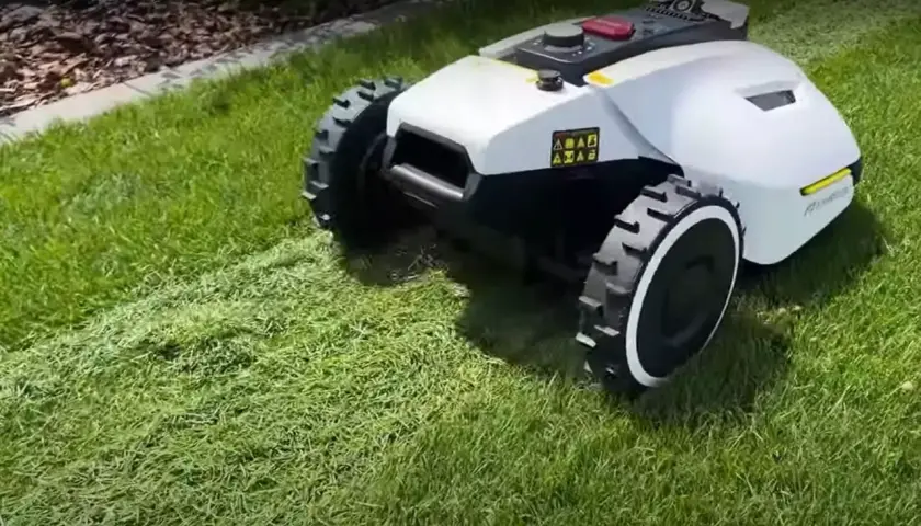 Robot koszący wykonuje mulczowanie trawy, pozostawiając drobno skoszoną trawę jako naturalny nawóz.