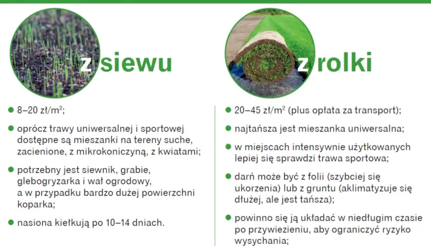 Zakładanie trawnika cena za m²: z siewu 8-20 zł, z rolki 20-45 zł. Porównanie metod i kosztów.