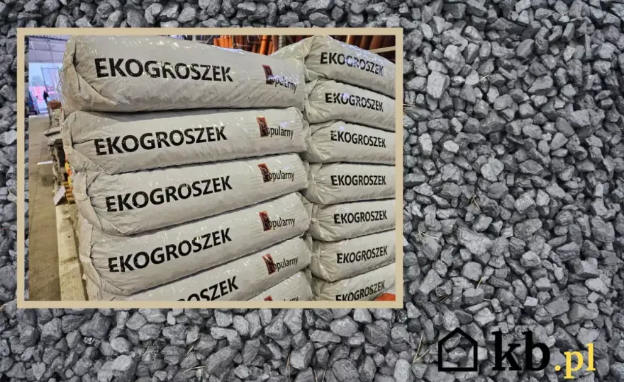 Ekogroszek cena - Jak kupić, by nie przepłacić?