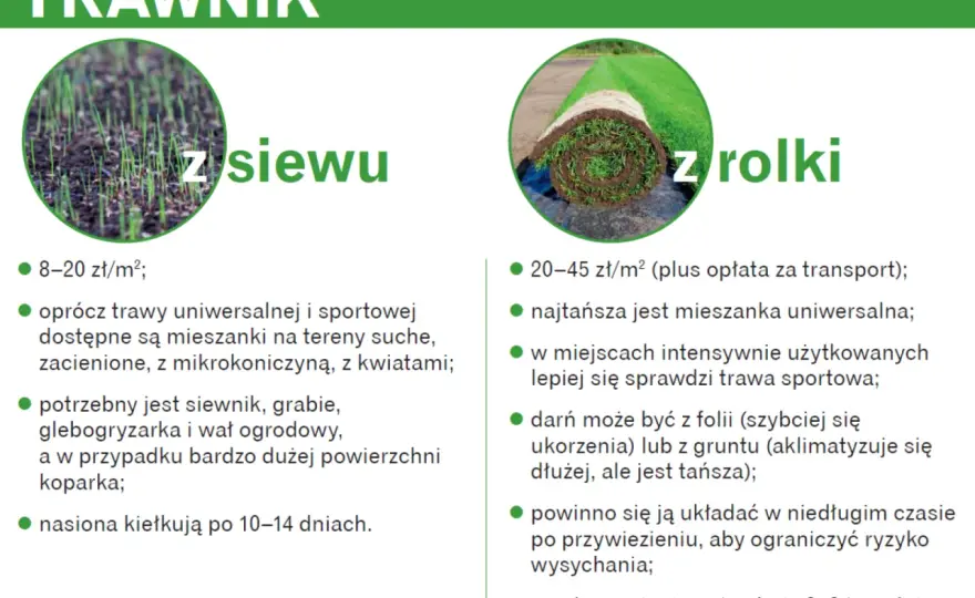 Koszt założenia trawnika z siewu - Ile za m²? Poradnik