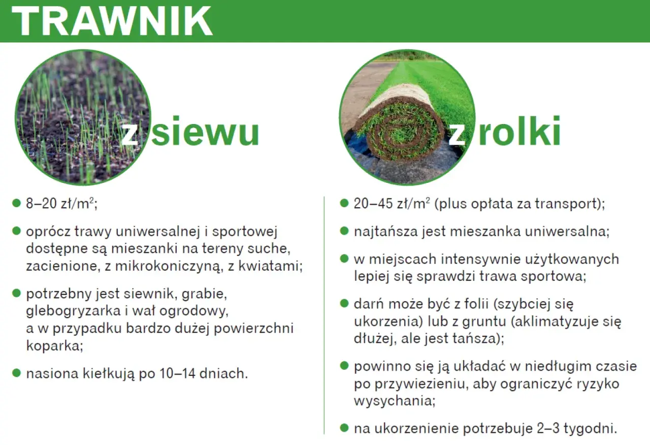 Zakładanie trawnika cena za m²: z siewu 8-20 zł, z rolki 20-45 zł. Porównanie metod i kosztów.