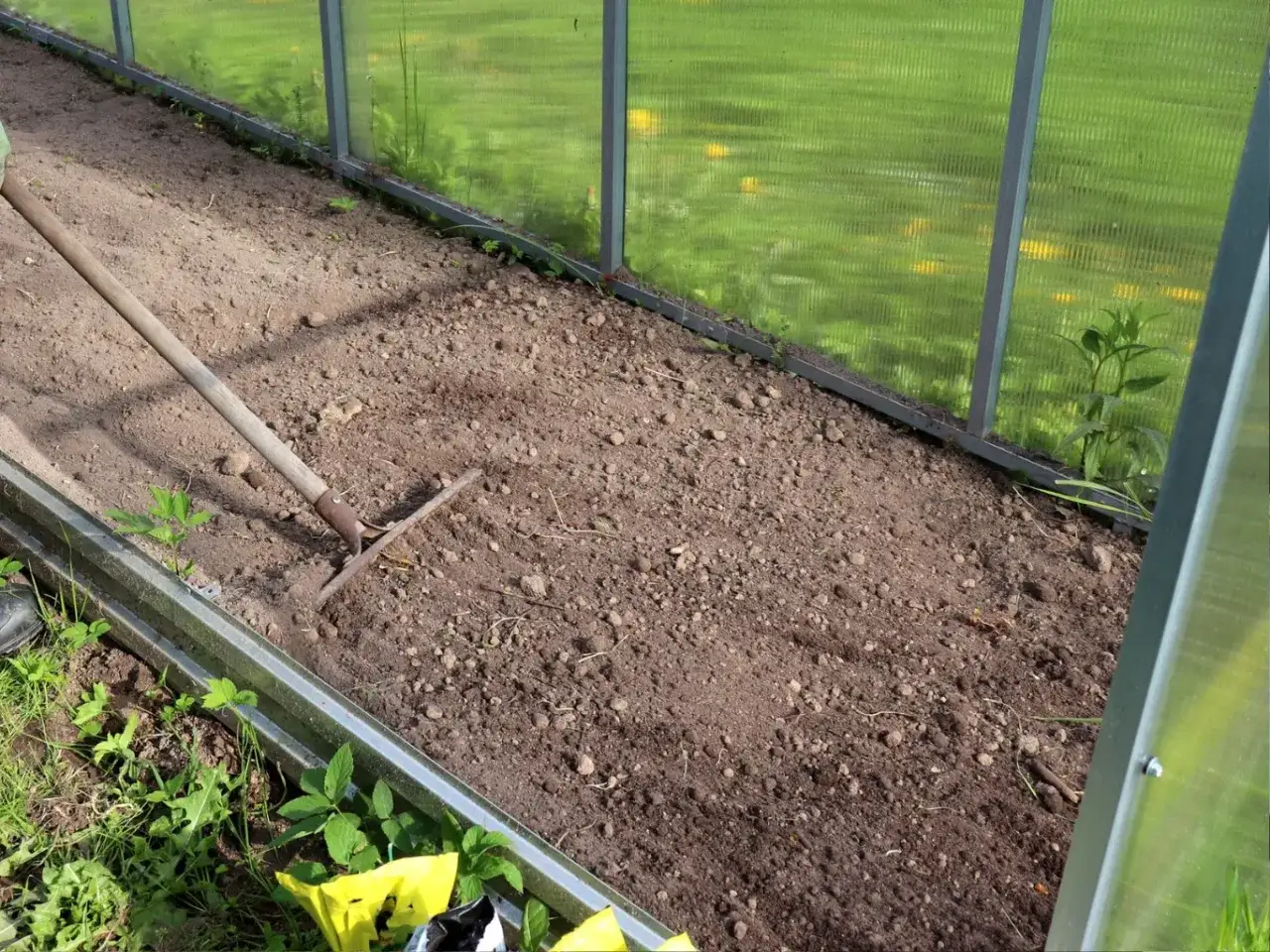 Grabie spulchniają ziemię w szklarni. To idealna jaka ziemia do pomidorów, przygotowana pod przyszłe sadzonki.