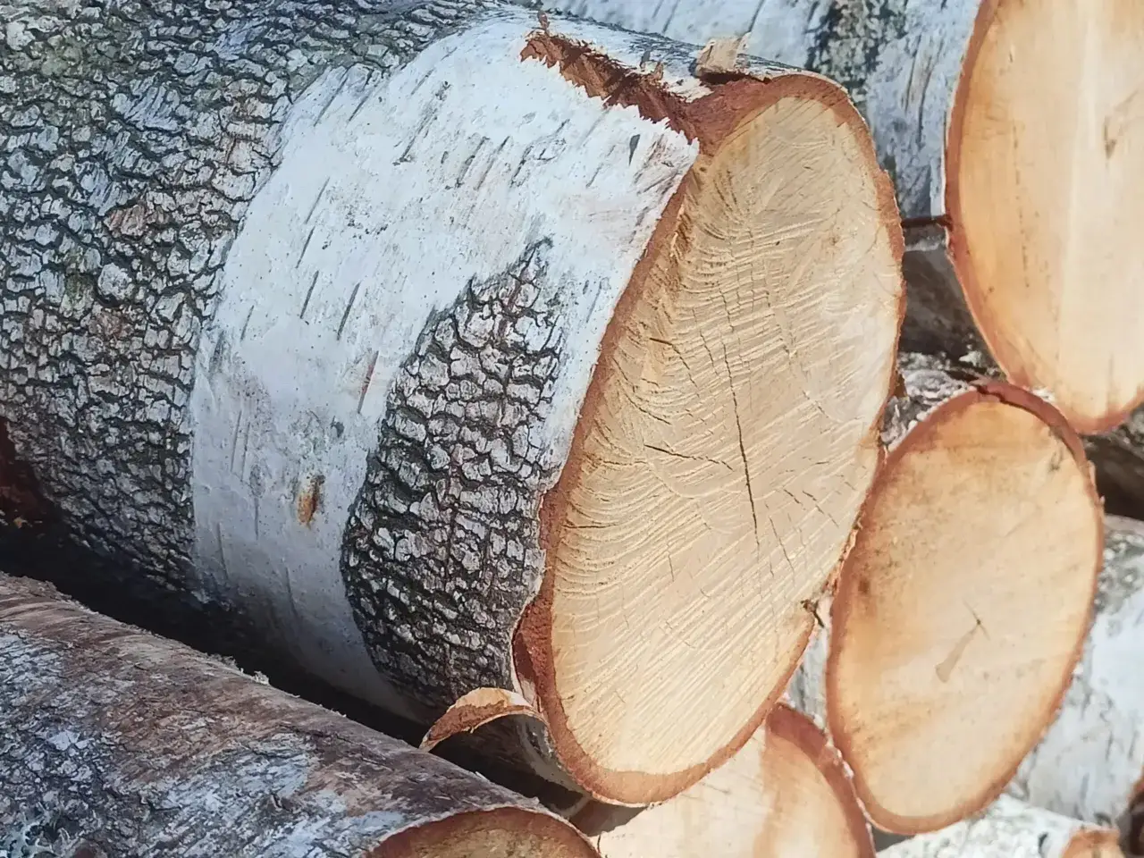 Stos drewna opałowego, głównie brzozowego. Widoczne słoje i kora. Zastanawiasz się nad ceną drewna opałowego?