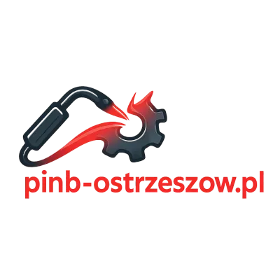 Logo pinb-ostrzeszow.pl